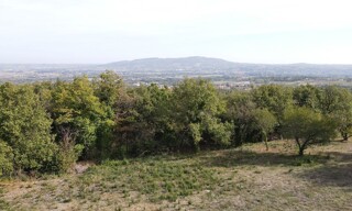 Terrain  1352 m² à vendre à Marcy (69480)