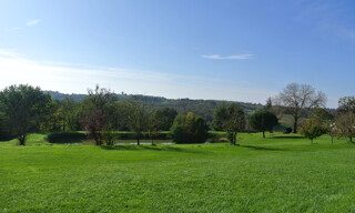 Photo N° 6