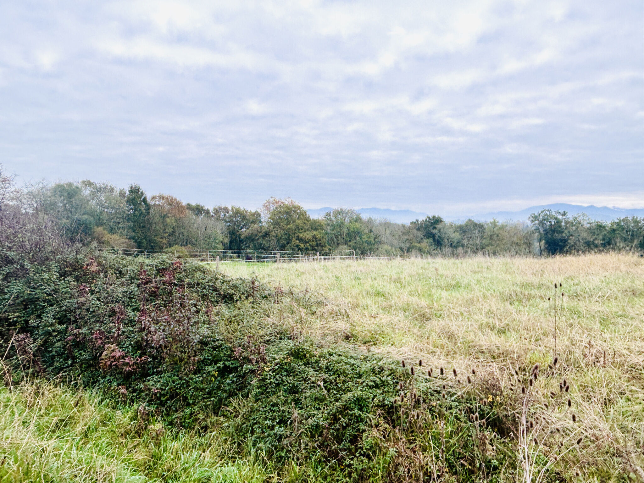 Terrain  à vendre Anglet 64600