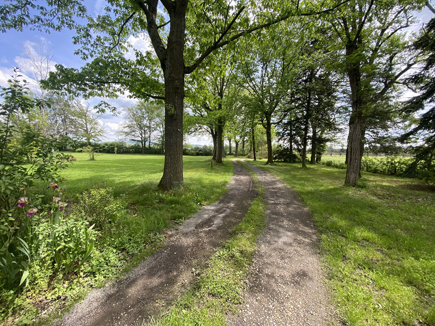 Propriété exceptionnelle pour chambres d'hôtes