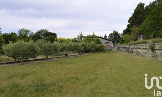 Photo N° 5