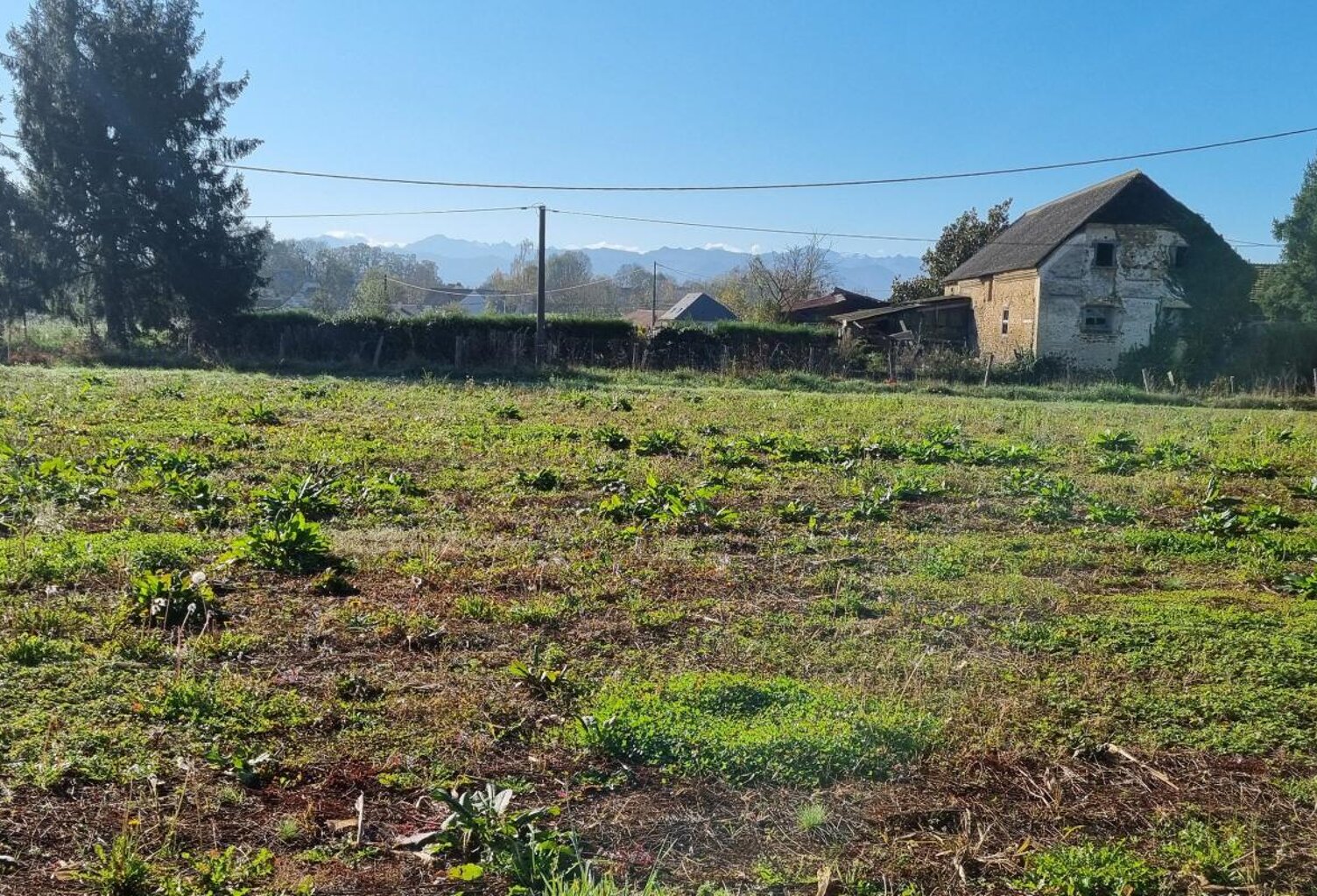 Terrain À Vendre — photo 1