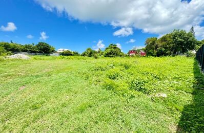 terrain  pièces 2425 m2 à vendre à Saint-François (97118)