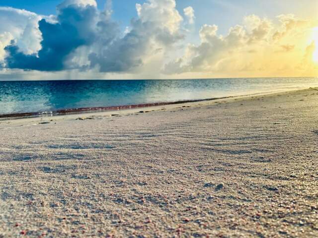 Villa d'exception : Vue mer et accès plage direct ! — photo du bien