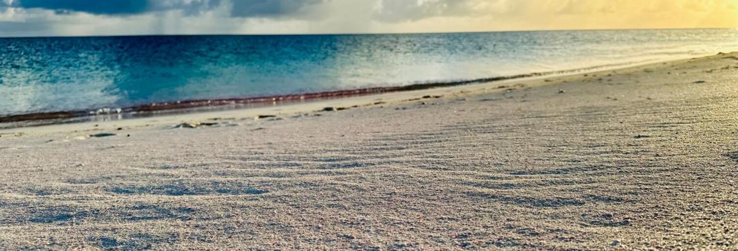 Maison 4 Pièces 179 m² à vendre à Saint-François (97118)