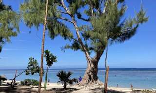 Appartement 3 Pièces 67 m² à vendre à Saint-Paul (97434)