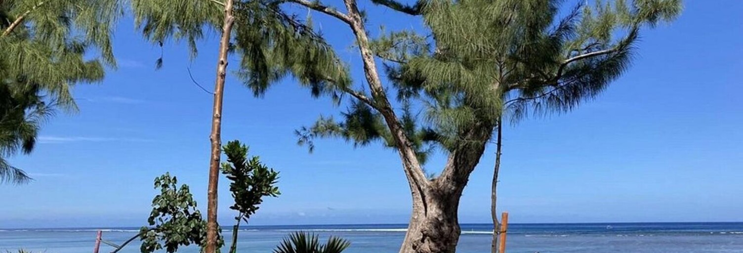 Appartement 3 Pièces 67 m² à vendre à Saint-Paul (97434)