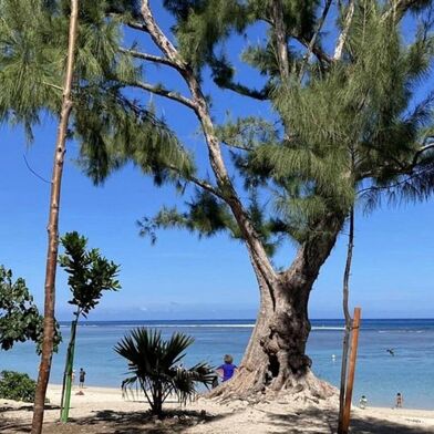 Appartement 3 pièces 450000 €