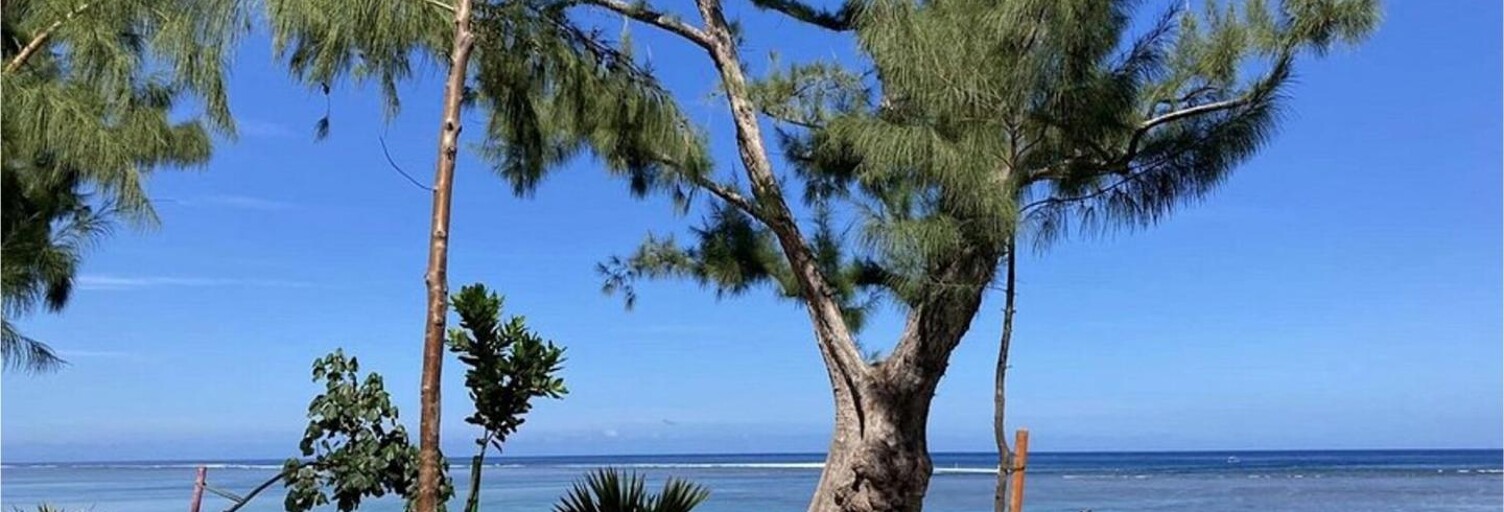 Appartement 3 Pièces 67 m² à vendre à Saint-Paul (97434)