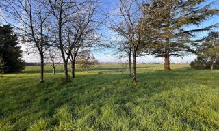Photo N° 4