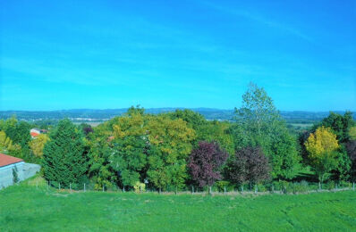 terrain  pièces 4000 m2 à vendre à Balbigny (42510)