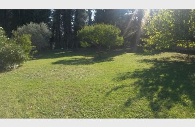 terrain  pièces 750 m2 à vendre à Avignon (84000)