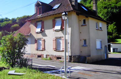 SENONES MAISON DE DEUX APPARTEMENTS — photo du bien
