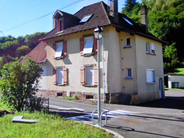 SENONES MAISON DE DEUX APPARTEMENTS — photo du bien
