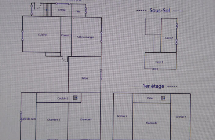 SENONES MAISON DE DEUX APPARTEMENTS — photo 3