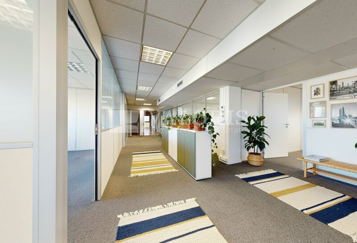 BUREAUX à LOUER — photo 1