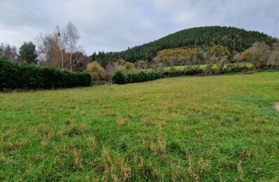 vente terrain 75 000 € à proximité de Le Puy-en-Velay (43000)