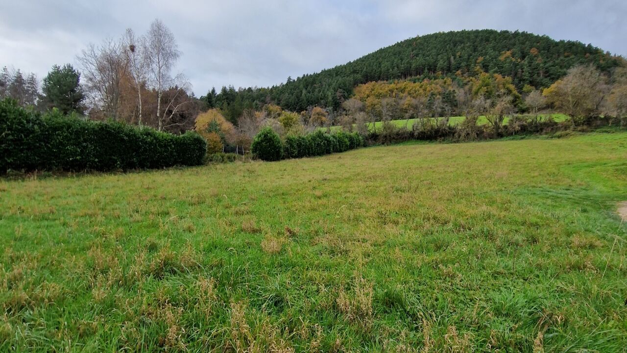 terrain  pièces 3198 m2 à vendre à Saint-Étienne-Lardeyrol (43260)