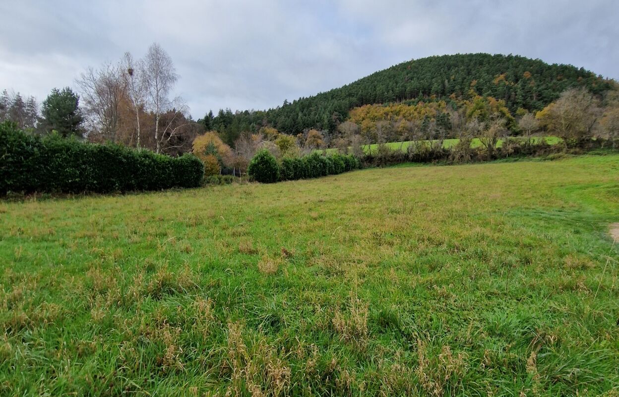 terrain  pièces 3198 m2 à vendre à Saint-Étienne-Lardeyrol (43260)