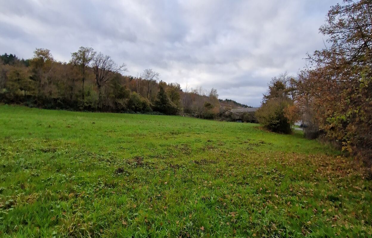 terrain  pièces 5497 m2 à vendre à Saint-Étienne-Lardeyrol (43260)