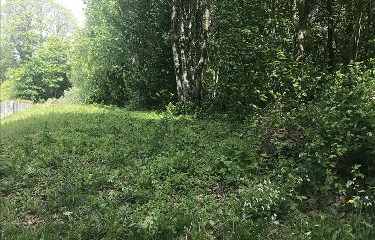 terrain  pièces 3000 m2 à vendre à Saint-Sornin-Lavolps (19230)