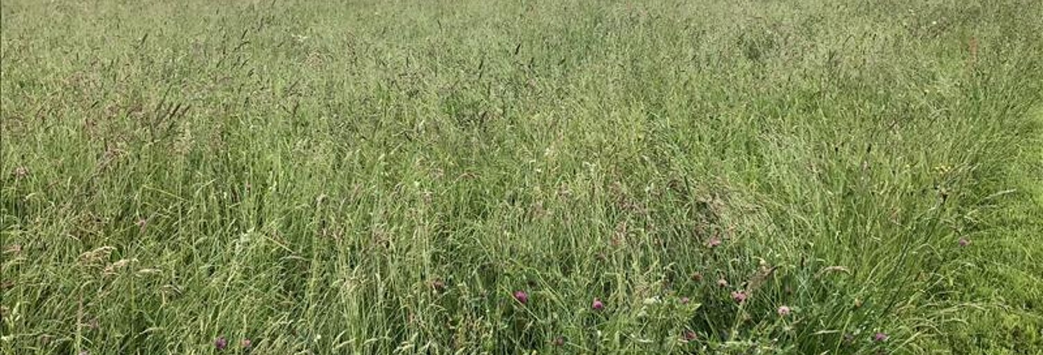 Terrain  2250 m² à vendre à Lubersac (19210)