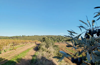 terrain  pièces 4950 m2 à vendre à Murviel-Lès-Béziers (34490)