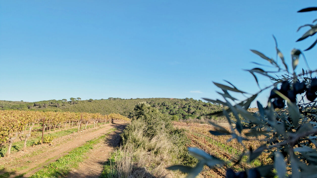 terrain  pièces 4950 m2 à vendre à Murviel-Lès-Béziers (34490)