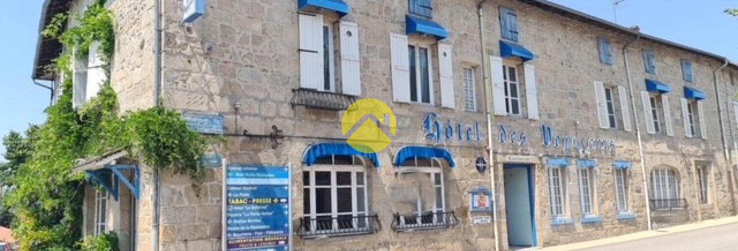 Maison 25 Pièces 500 m² à vendre à Peyrat-le-Château (87470)