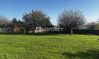 Photo N° 4