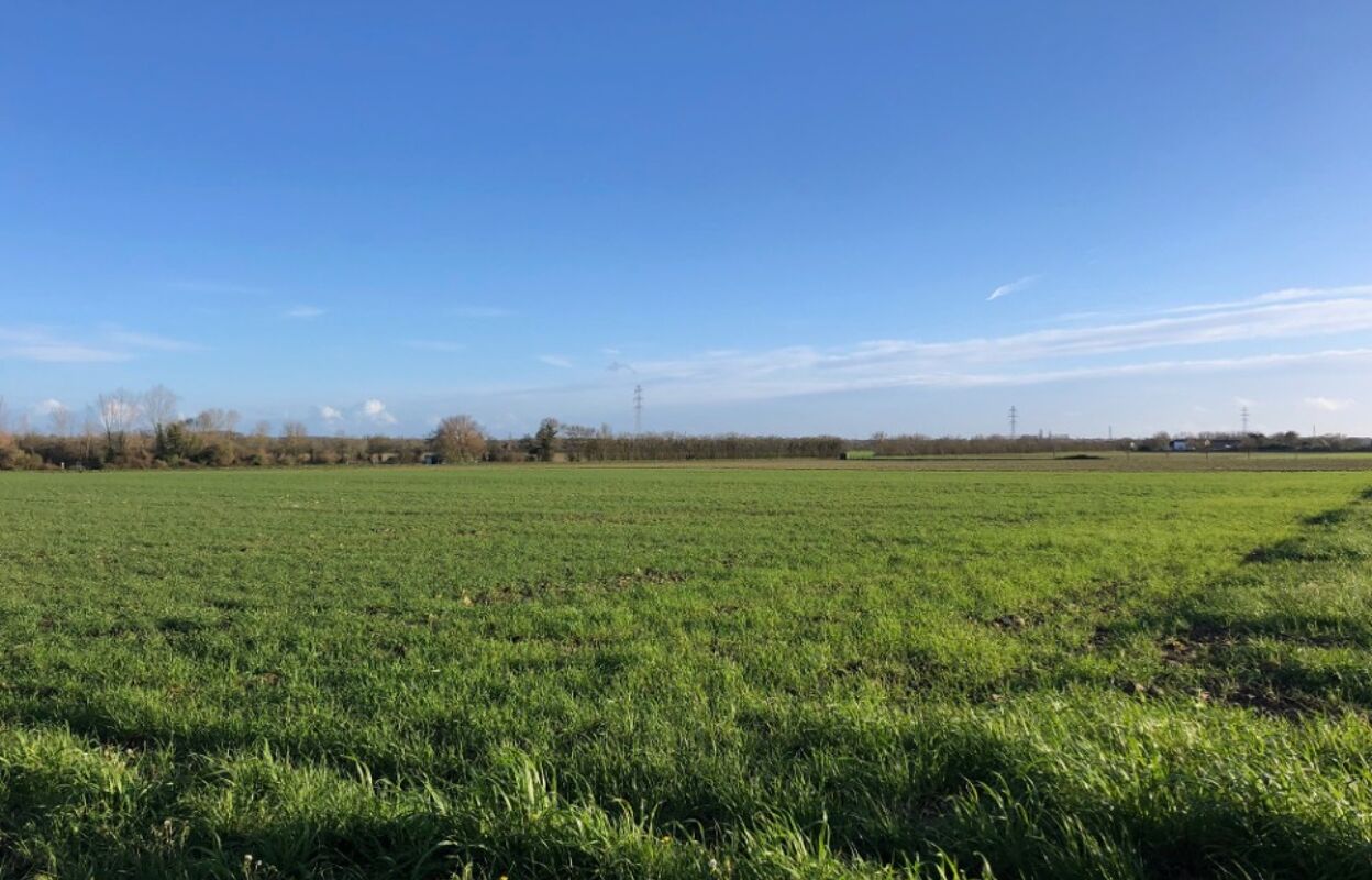 terrain  pièces 350 m2 à vendre à Villedoux (17230)