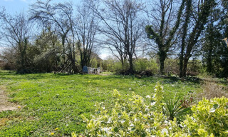 Photo N° 4