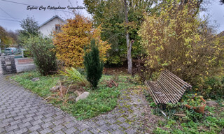 Photo N° 6