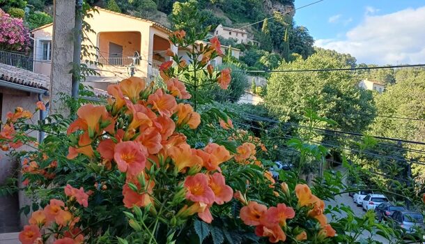 Villa / Maison 9 pièces  à vendre Cotignac 83570