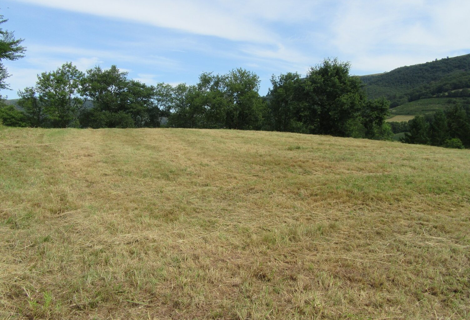 Vente terrain   Conques-en-Rouergue (12320) — photo 1