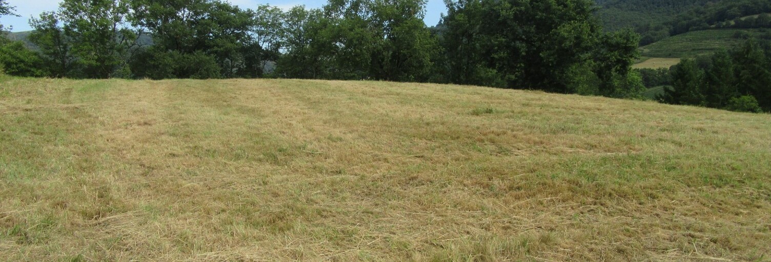 Terrain   m² à vendre à Conques-en-Rouergue (12320)