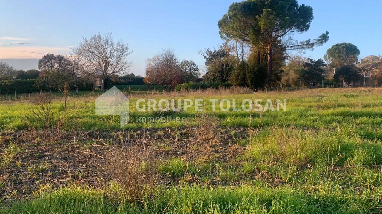 terrain  pièces 710 m2 à vendre à Montrabé (31850)