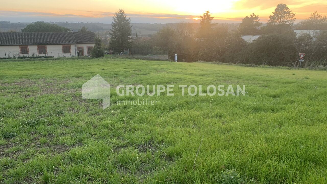 terrain  pièces 390 m2 à vendre à Montrabé (31850)