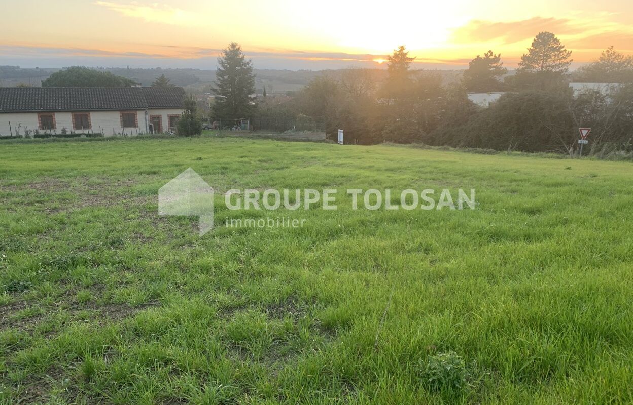 terrain  pièces 390 m2 à vendre à Montrabé (31850)