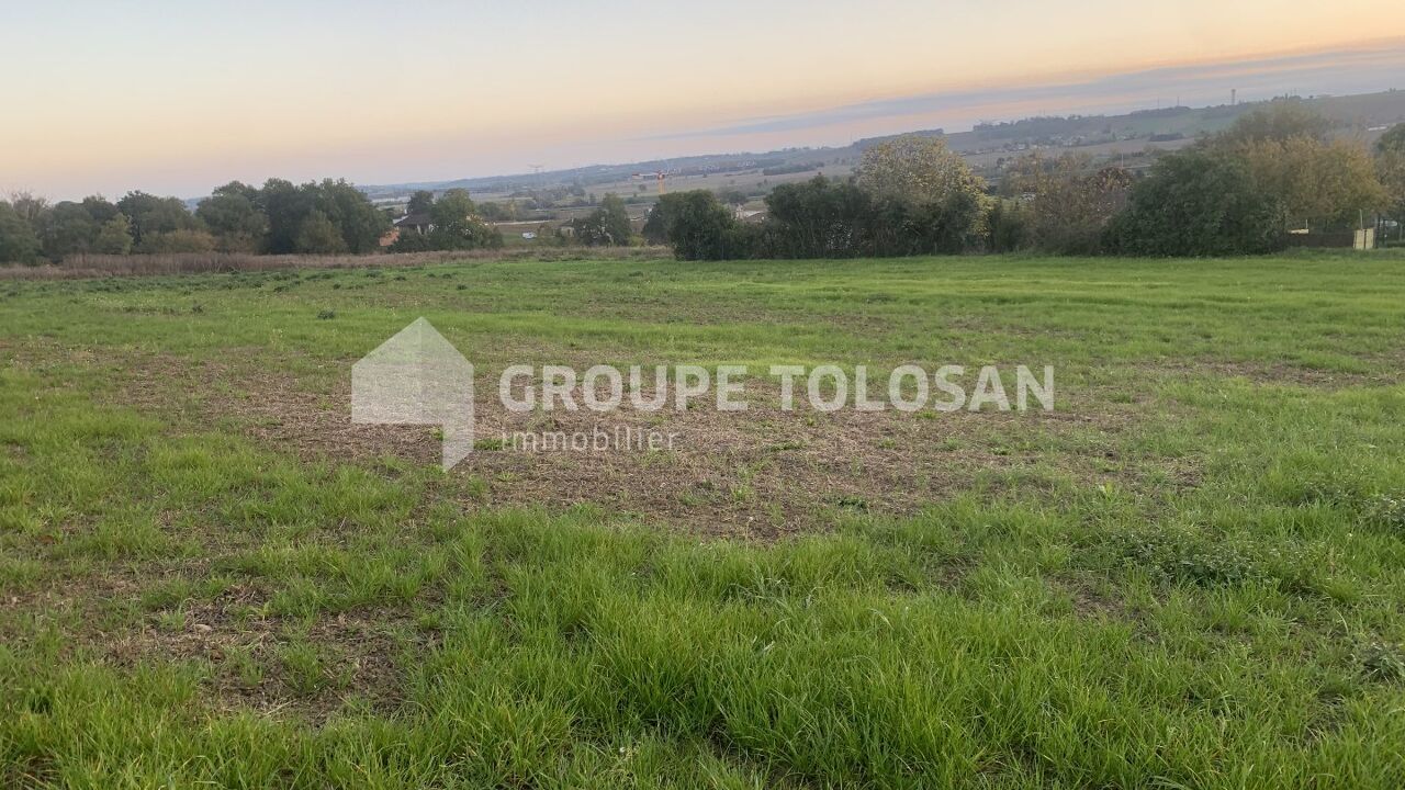 terrain  pièces 462 m2 à vendre à Montrabé (31850)