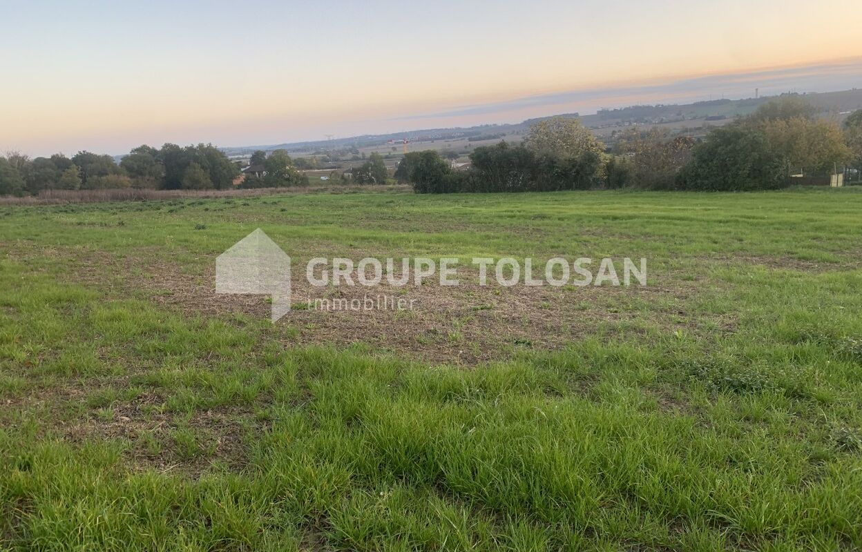 terrain  pièces 462 m2 à vendre à Montrabé (31850)