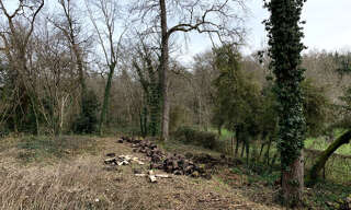 Terrain  1223 m² à vendre à Latresne (33360)