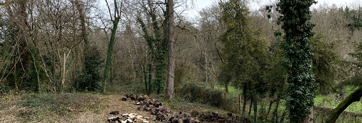 Terrain  1223 m² à vendre à Latresne (33360)