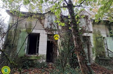 vente maison 31 000 € à proximité de Palluau-sur-Indre (36500)