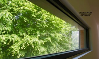Photo N° 5