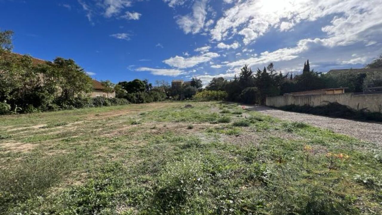 terrain  pièces 730 m2 à vendre à Ouveillan (11590)