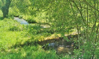 Photo N° 4