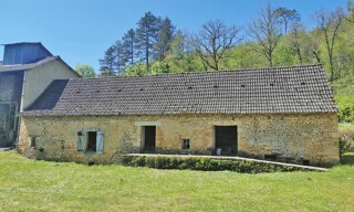 Photo N° 6