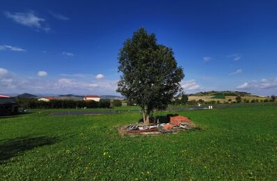 vente terrain 80 000 € à proximité de Sauviat (63120)