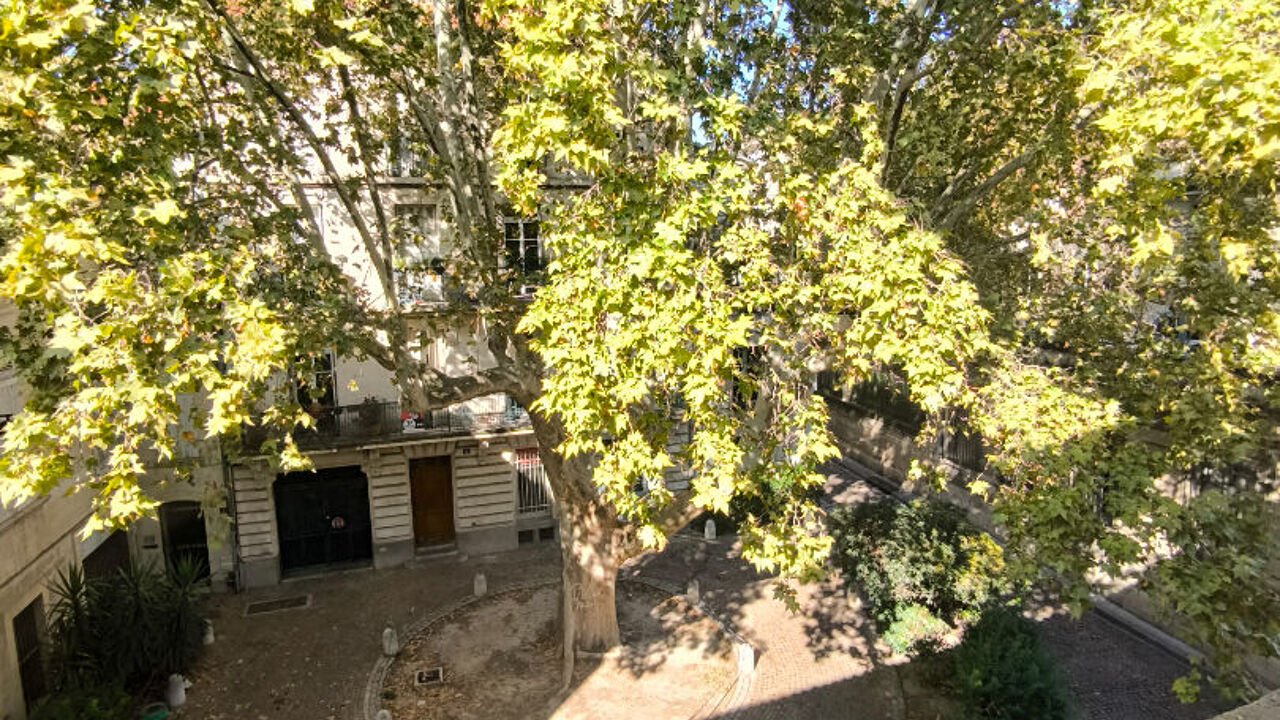 appartement 2 pièces 61 m2 à louer à Avignon (84000)